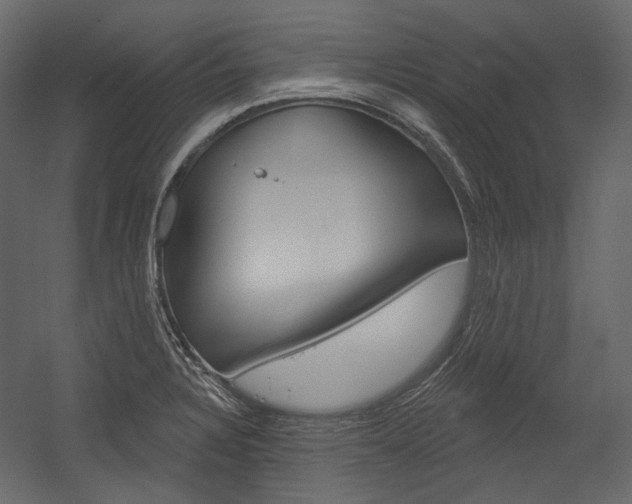 X0000054421328200507290916