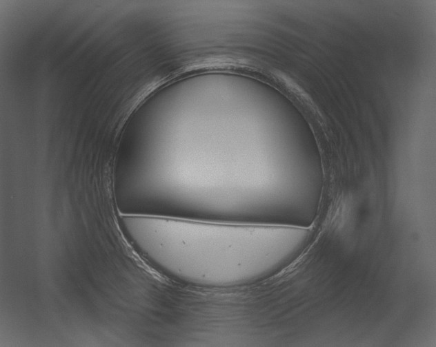 X0000054421329200507290916