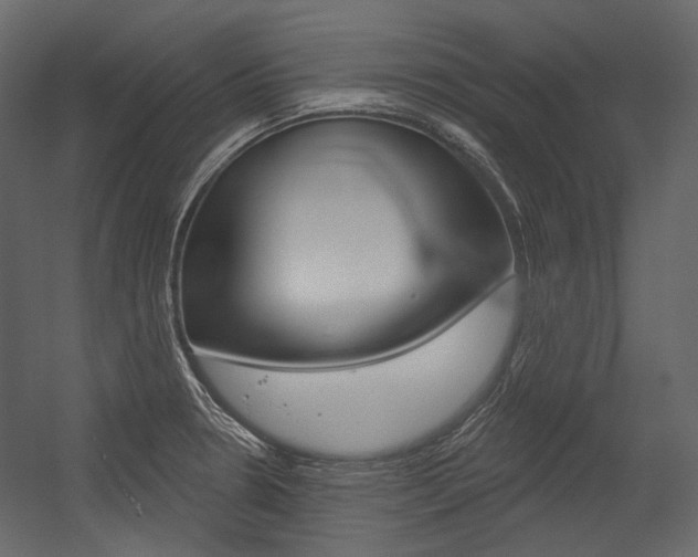 X0000054421330200507290916