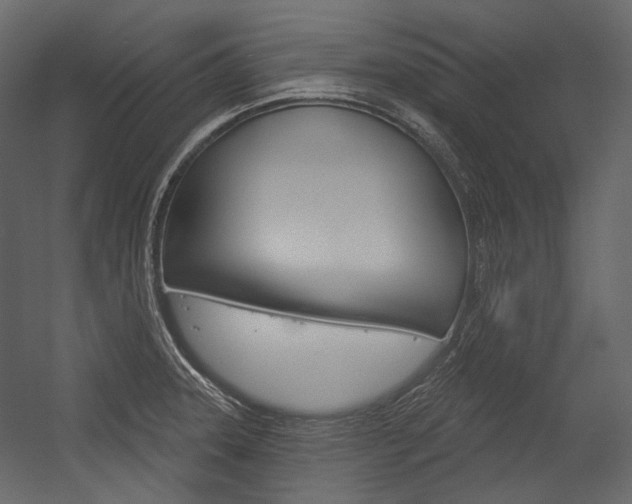 X0000054421331200507290916