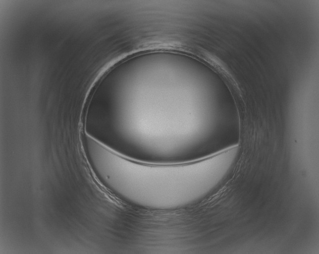 X0000054421332200507290916