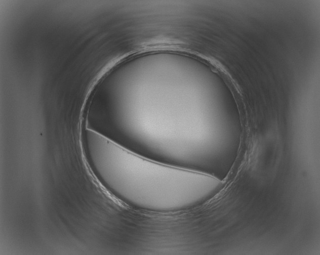 X0000054421333200507290916