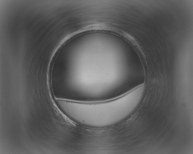 X0000054421334200507290916