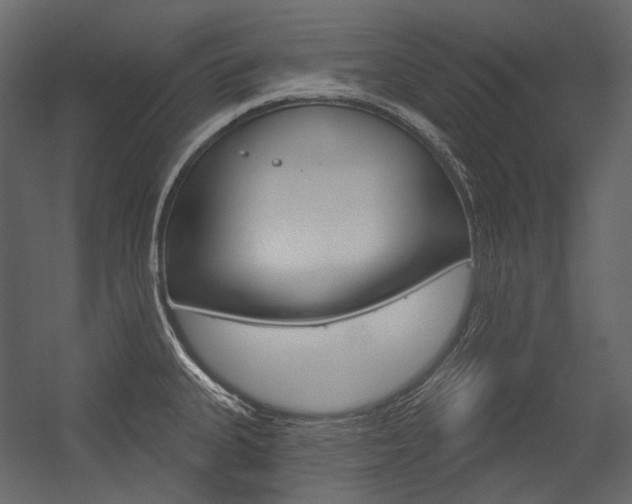 X0000054421335200507290916