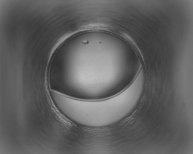 X0000054421336200507290916
