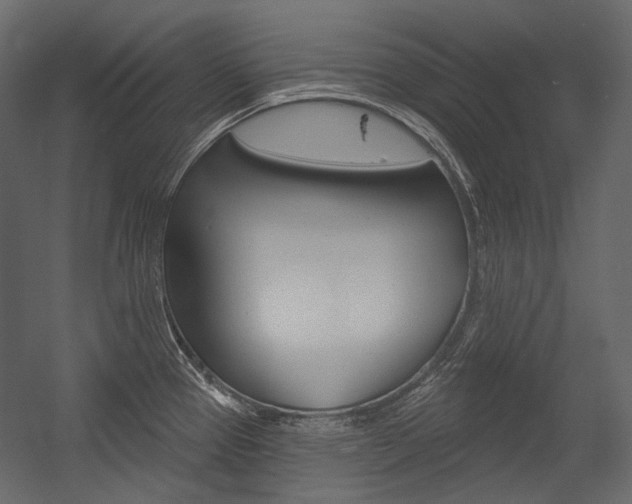 X0000054421337200507290916