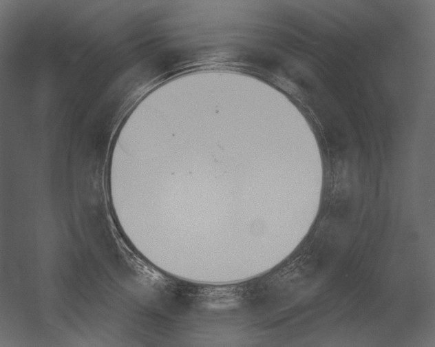 X0000054421338200507290916