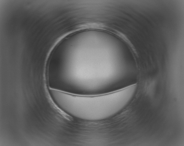 X0000054421339200507290916