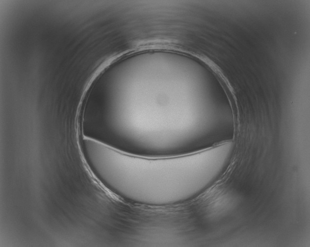 X0000054421341200507290916