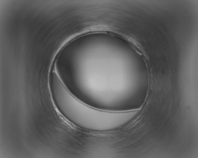 X0000054421342200507290916