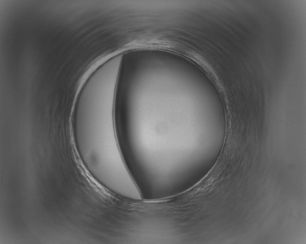 X0000054421344200507290916