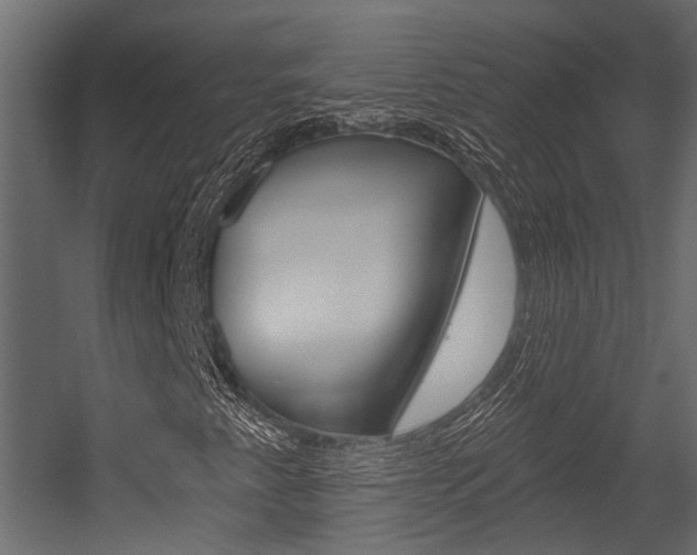 X0000054421345200507290915