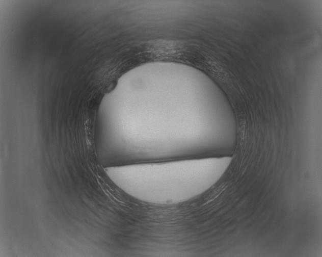 X0000054421346200507290915