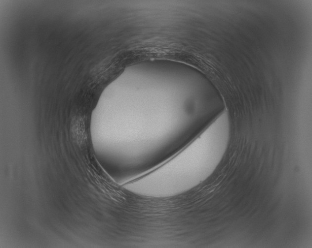 X0000054421347200507290915