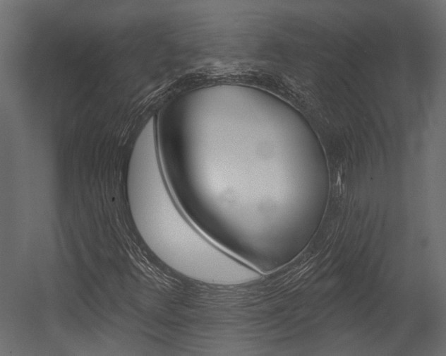 X0000054421348200507290915
