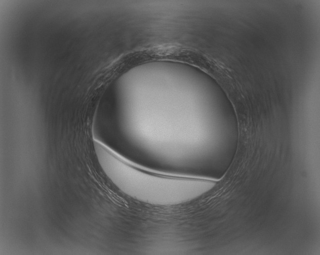 X0000054421349200507290915