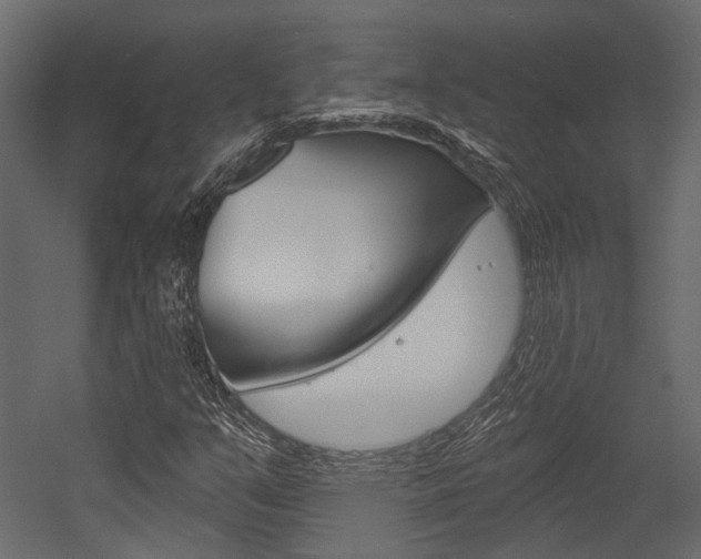 X0000054421351200507290915