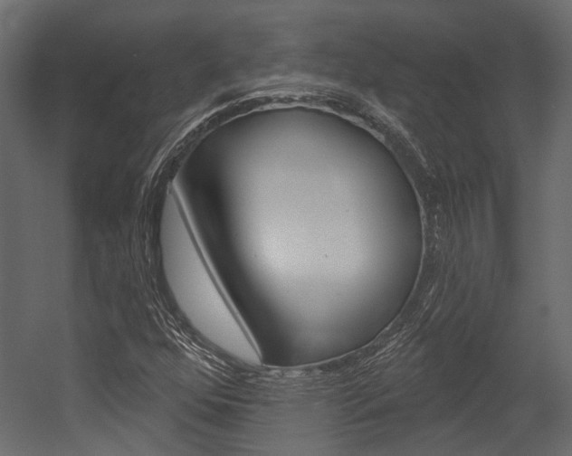 X0000054421352200507290915