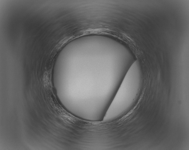 X0000054421353200507290915