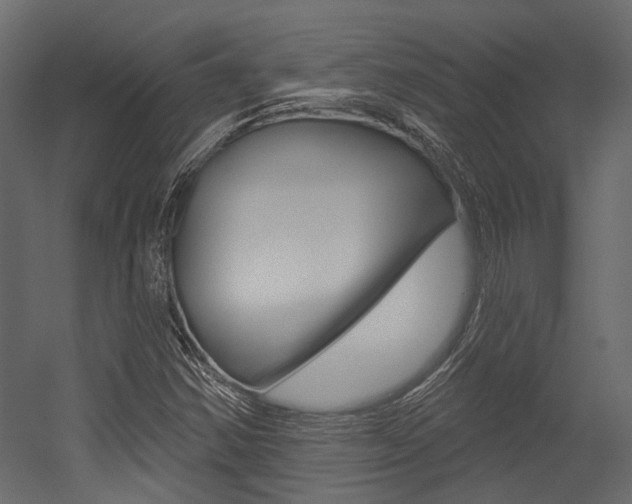 X0000054421354200507290915