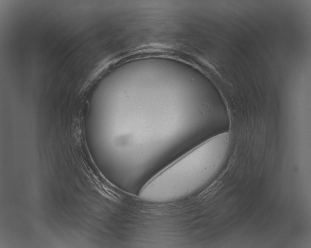 X0000054421355200507290915