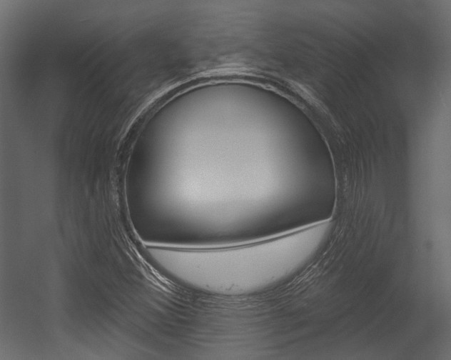 X0000054421356200507290915