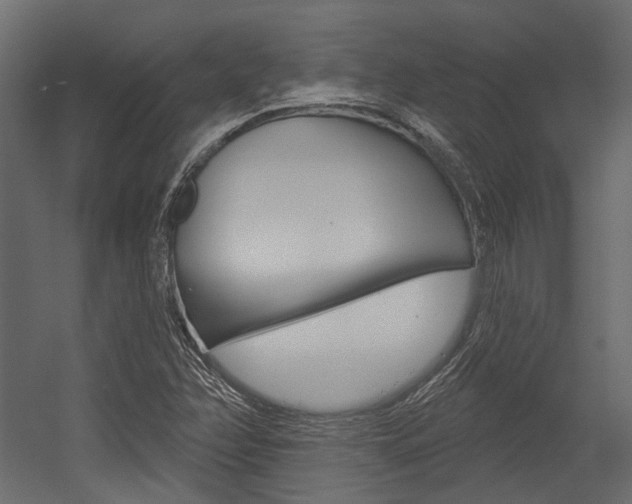 X0000054421358200507290915