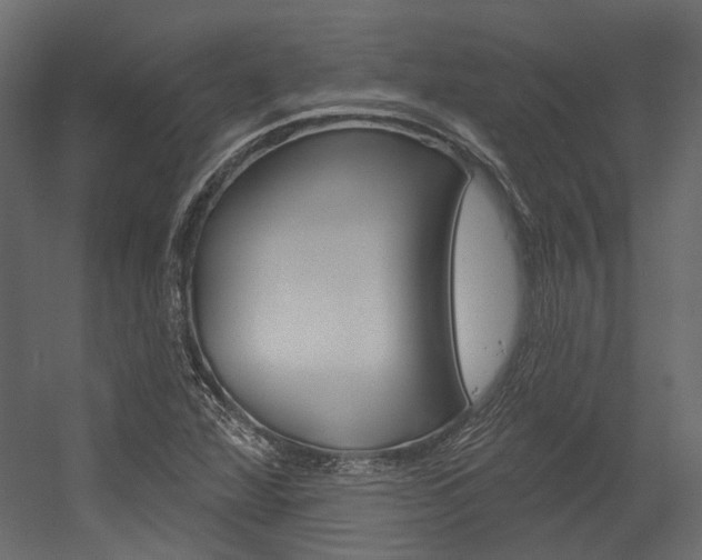 X0000054421360200507290915
