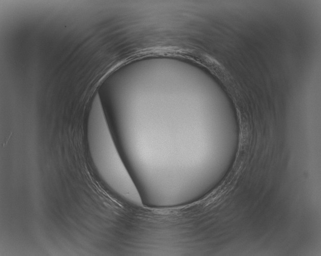 X0000054421361200507290915