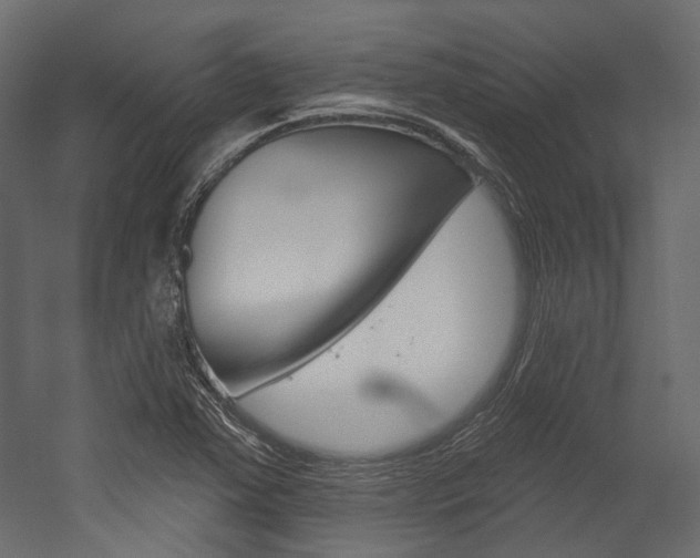 X0000054421363200507290915