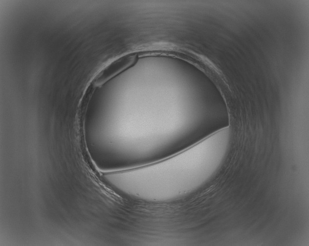 X0000054421364200507290915