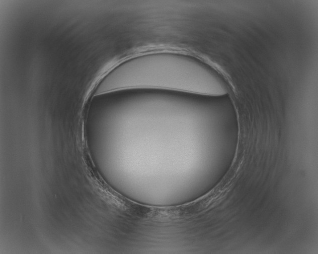 X0000054421365200507290915