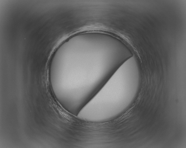 X0000054421366200507290915
