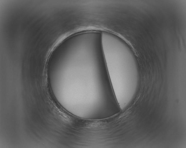 X0000054421367200507290915
