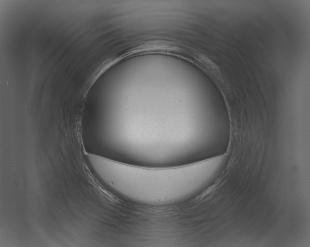 X0000054421369200507290915