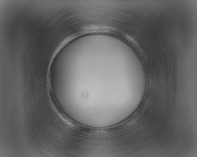 X0000054421370200507290915