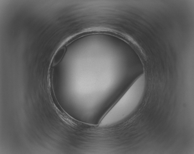 X0000054421372200507290915