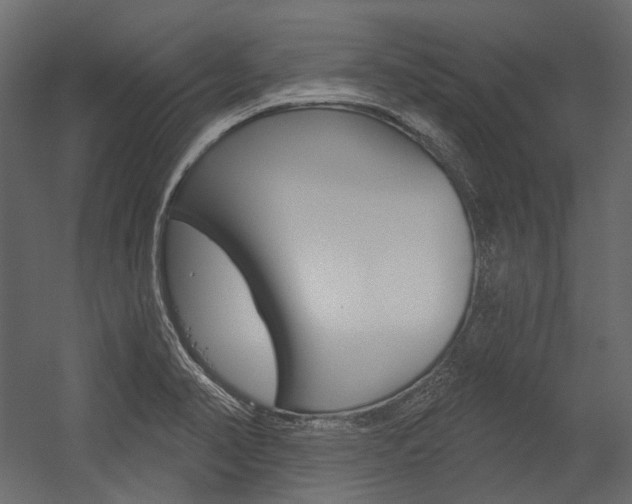 X0000054421374200507290915