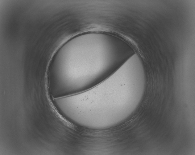 X0000054421375200507290915