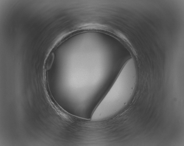 X0000054421376200507290915