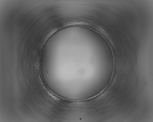 X0000054421377200507290915