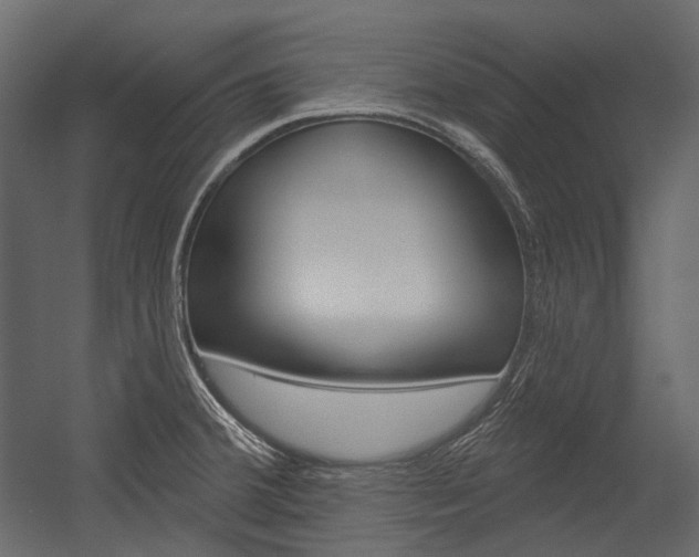 X0000054421380200507290915