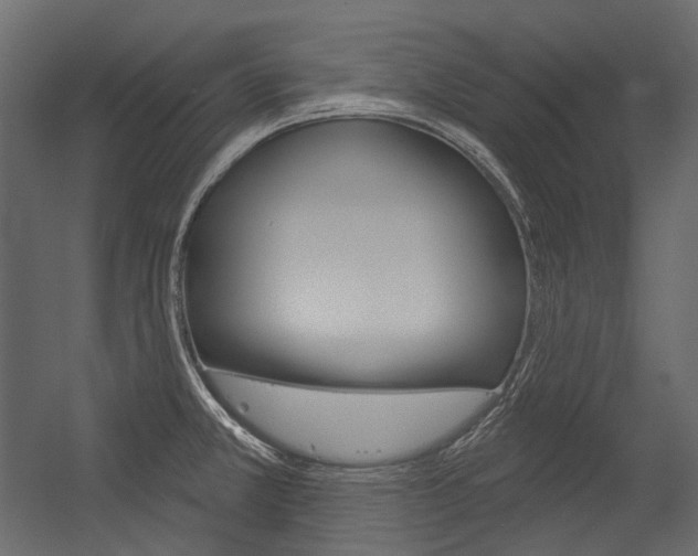 X0000054421381200507290915