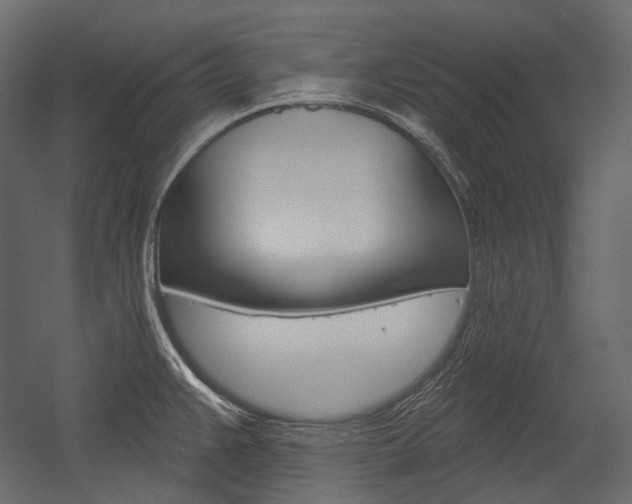 X0000054421383200507290914