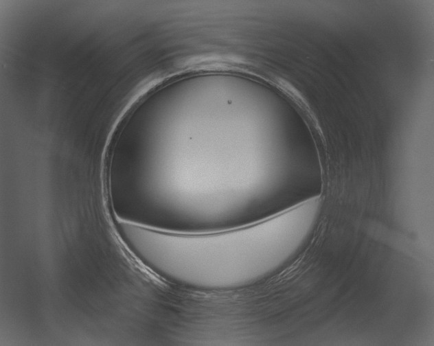 X0000054421384200507290914