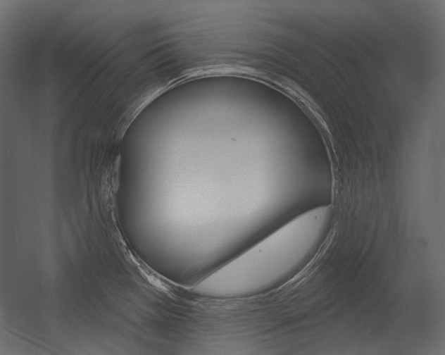 X0000054421385200507290914