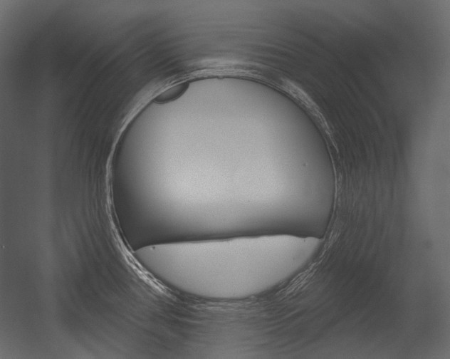 X0000054421386200507290914