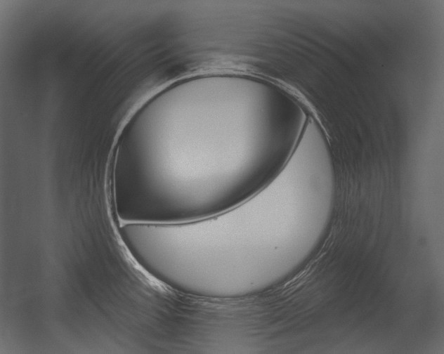 X0000054421387200507290914