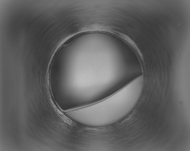 X0000054421388200507290914