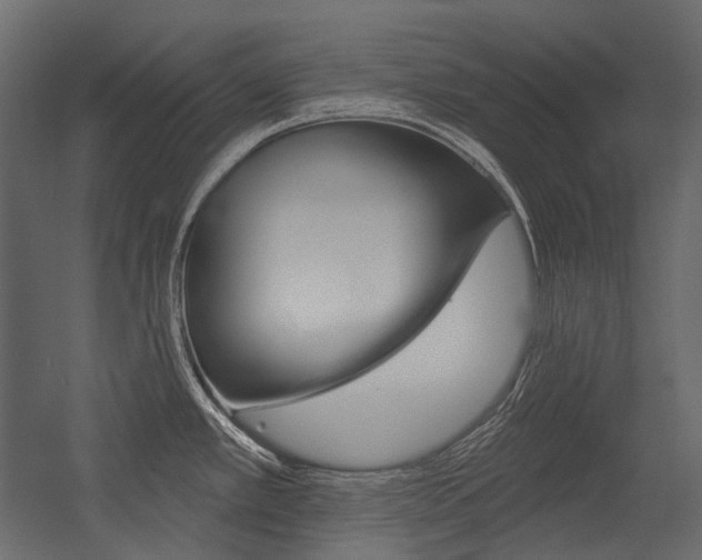 X0000054421389200507290914